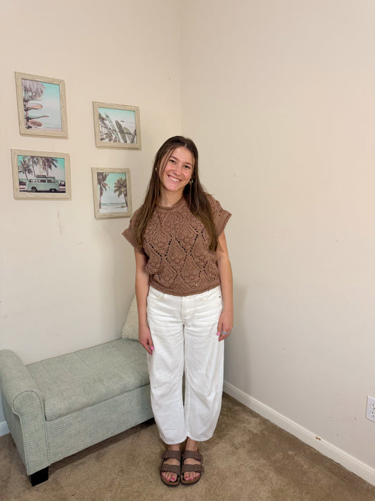 Ann Arbor Knit in Brown